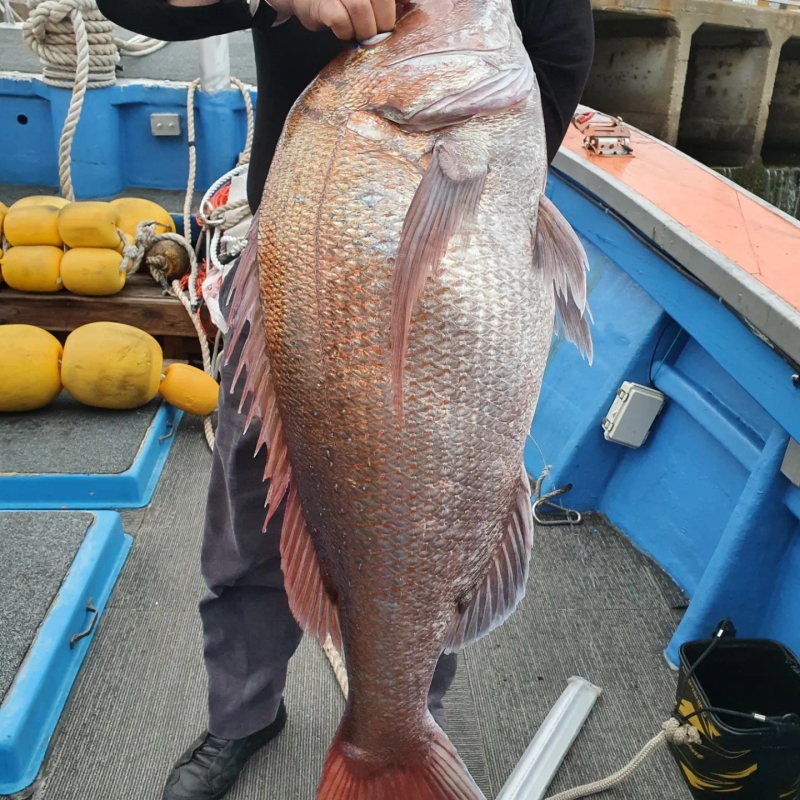 해당 선사를 대표하는 이미지