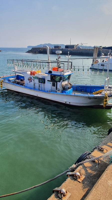 해당 선사를 대표하는 이미지