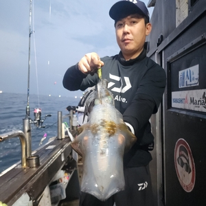 제주엔에스호 팁런 조황입니다 선상낚시로 잡은 물고기 조황