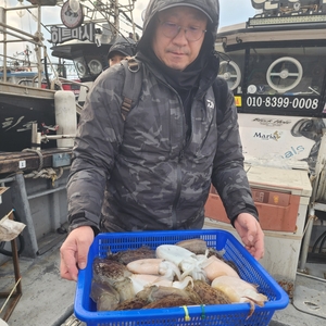 1월4일 제주심해. 갑오징어 조황입니다 선상낚시로 잡은 물고기 조황