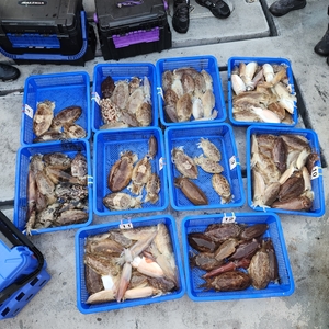 1월16일 제주 엔에스호 심해 갑오징어 조황입니다 선상낚시로 잡은 물고기 조황