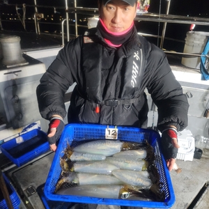 제주엔에스호 무늬오징어 조황입니다 선상낚시로 잡은 물고기 조황