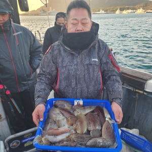 제주 심해 갑오징어 조황 입니다 선상낚시로 잡은 물고기 조황