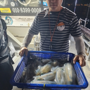 8월30일 제주엔에스호 팁런 조황입니다 선상낚시로 잡은 물고기 조황