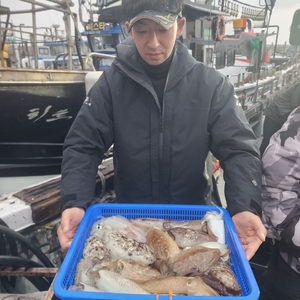 제주엔에스호 갑오징어조황입니다 선상낚시로 잡은 물고기 조황