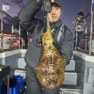 12월6일 제주엔에스호 팁런 조황입니다 선상낚시로 잡은 물고기 조황