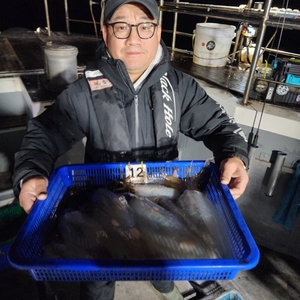 제주엔에스호 무늬오징어 조황 선상낚시로 잡은 물고기 조황