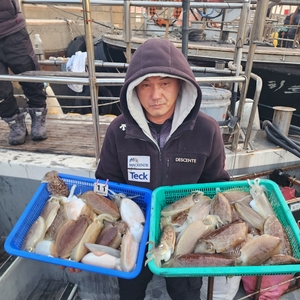 1월18일 제주 심해 갑오징어 조황 입니다 선상낚시로 잡은 물고기 조황