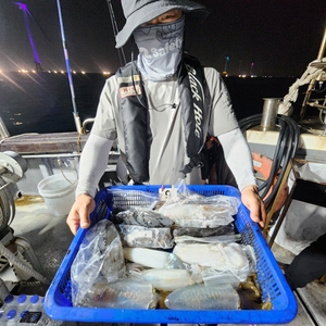 8월20일 팁런 조황입니다 선상낚시로 잡은 물고기 조황