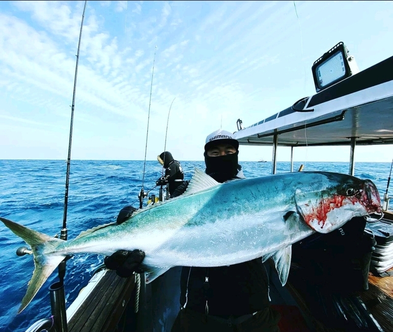 해당 선사를 대표하는 이미지