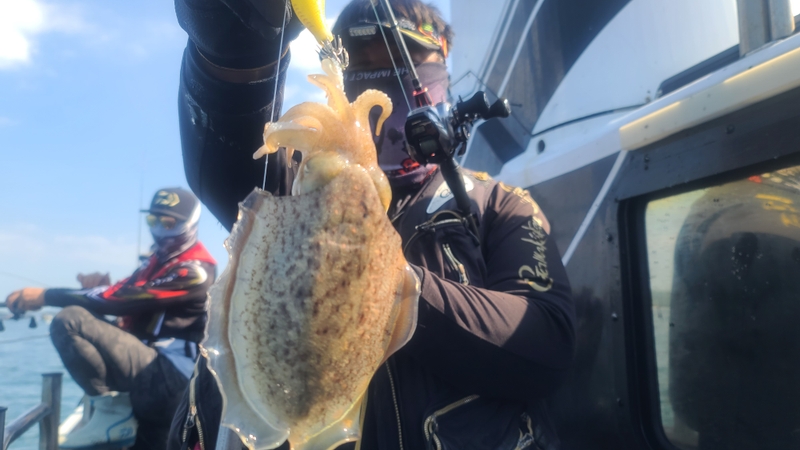 해당 선사를 대표하는 이미지