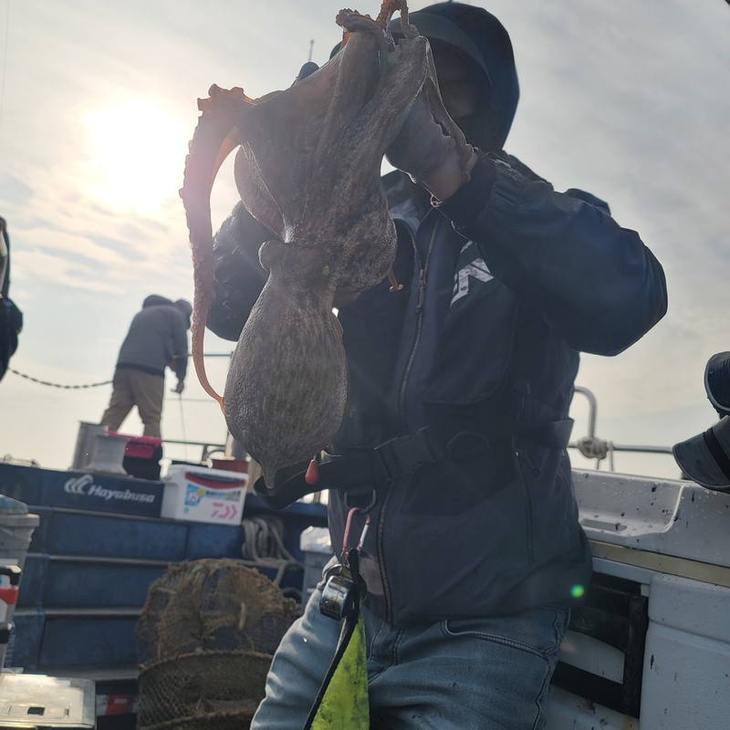 무창포 페가수스호의 조황일지 이미지 - 11