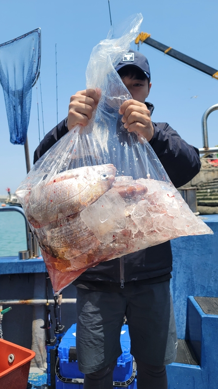 무창포 페가수스호의 조황일지 이미지 - 6