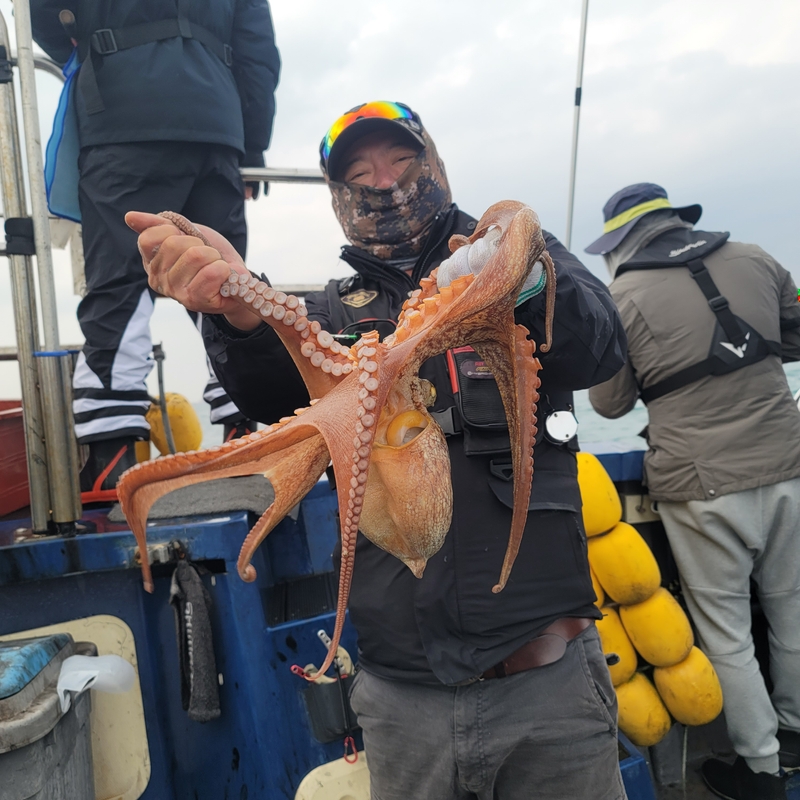 무창포 페가수스호의 조황일지 이미지 - 14