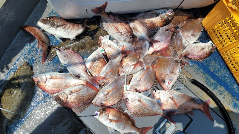 무창포 페가수스호의 조황일지 이미지 - 2