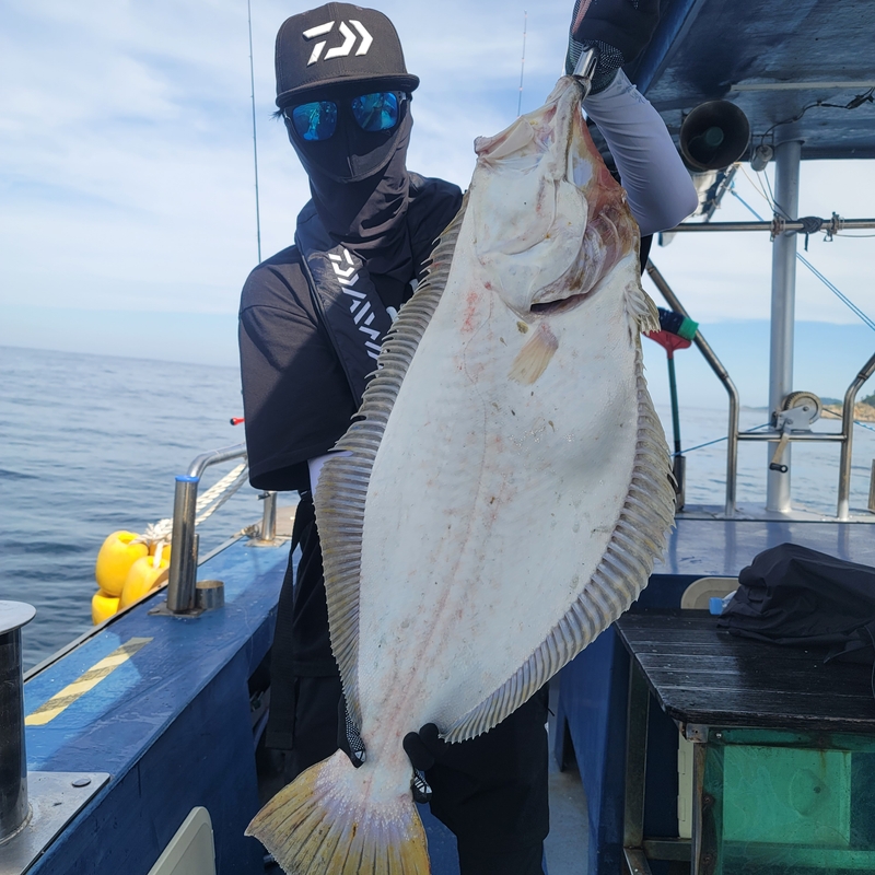 무창포 페가수스호의 조황일지 이미지 - 3