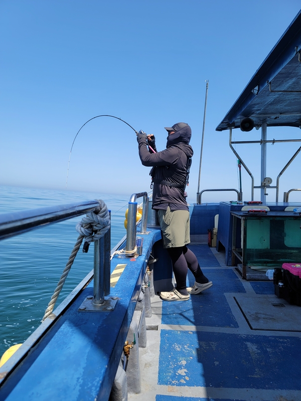 무창포 페가수스호의 조황일지 이미지 - 6