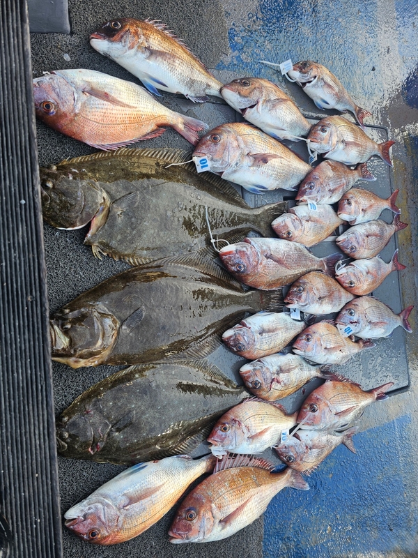 무창포 페가수스호의 조황일지 이미지 - 1