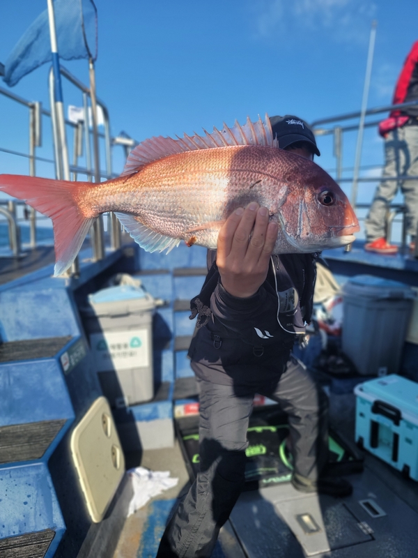 무창포 페가수스호의 조황일지 이미지 - 8