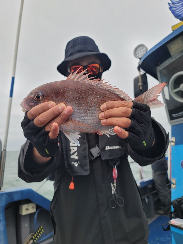 무창포 페가수스호의 조황일지 이미지 - 2