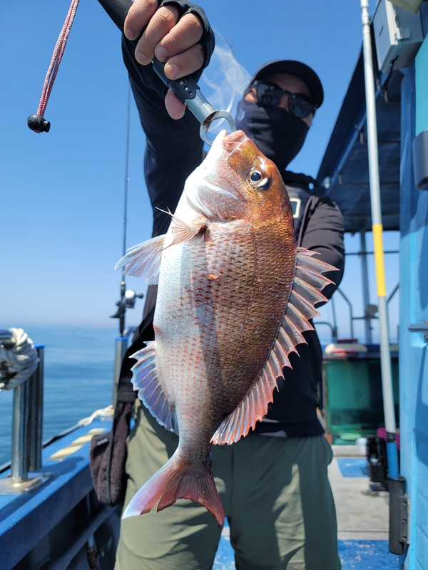 무창포 페가수스호의 조황일지 이미지 - 11