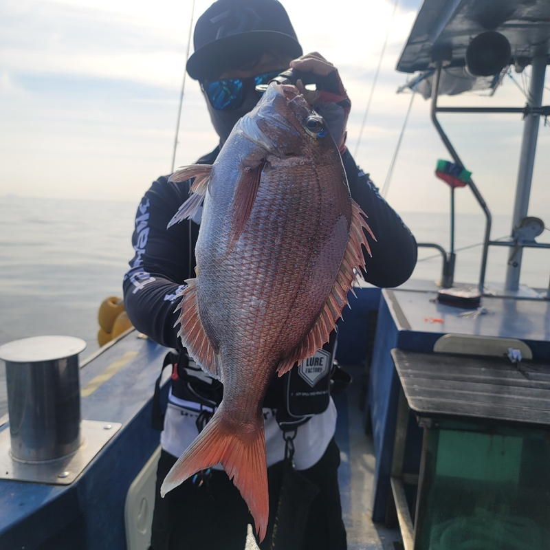 무창포 페가수스호의 조황일지 이미지 - 7