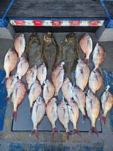 5월19일 무창포 페가수스호 참돔타이라바 3인조황 선상낚시로 잡은 물고기 조황