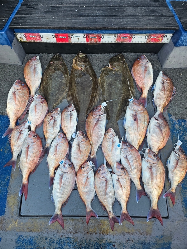 무창포 페가수스호의 조황일지 이미지 - 0