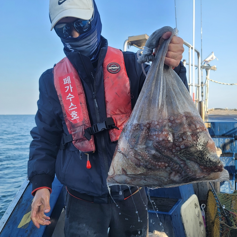 무창포 페가수스호의 조황일지 이미지 - 11