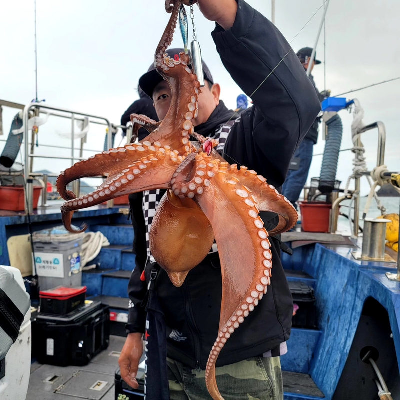 무창포 페가수스호의 조황일지 이미지 - 15