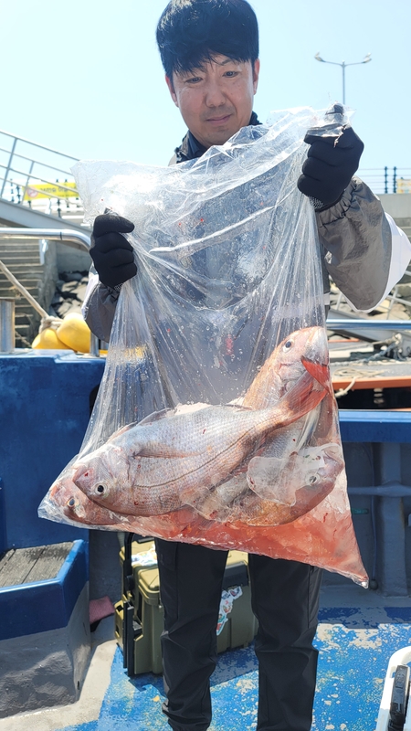 무창포 페가수스호의 조황일지 이미지 - 4