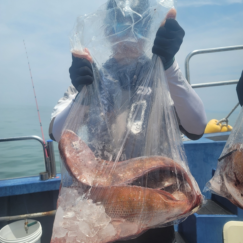 무창포 페가수스호의 조황일지 이미지 - 13