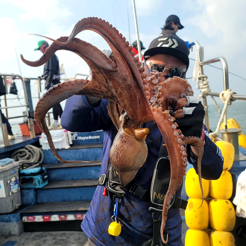 무창포 페가수스호의 조황일지 이미지 - 16