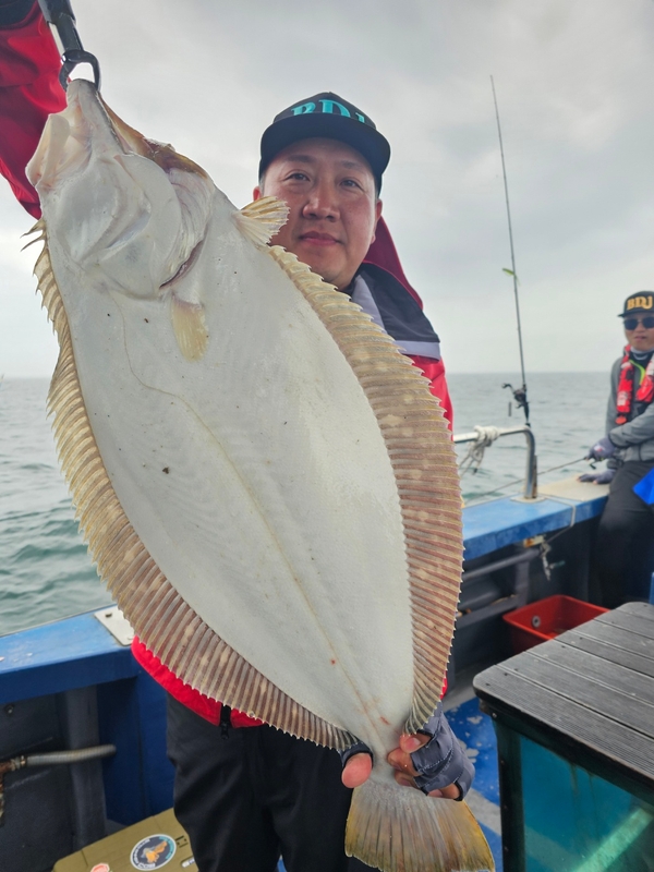 무창포 페가수스호의 조황일지 이미지 - 10