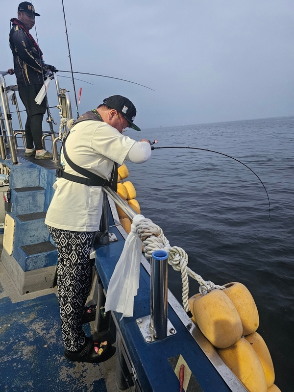 무창포 페가수스호의 조황일지 이미지 - 14