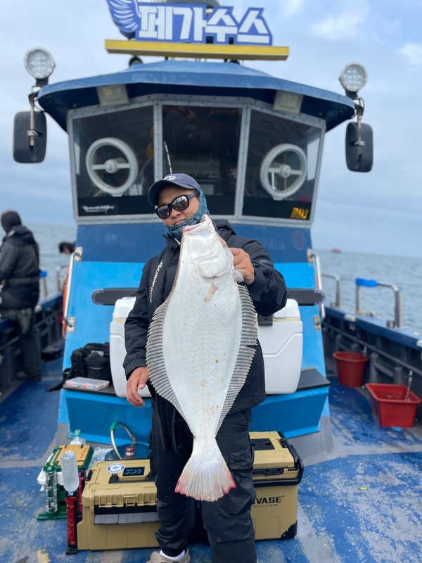 무창포 페가수스호의 조황일지 이미지 - 5