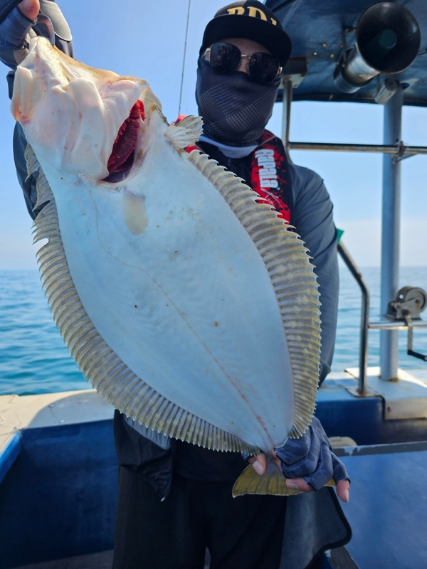 무창포 페가수스호의 조황일지 이미지 - 12