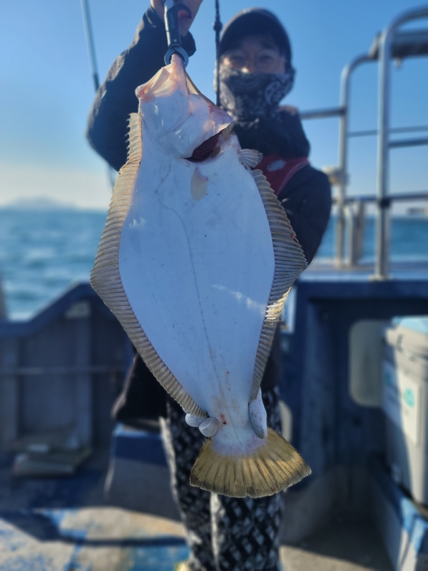 무창포 페가수스호의 조황일지 이미지 - 4