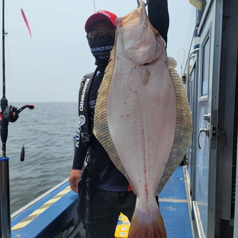 무창포 페가수스호의 조황일지 이미지 - 15