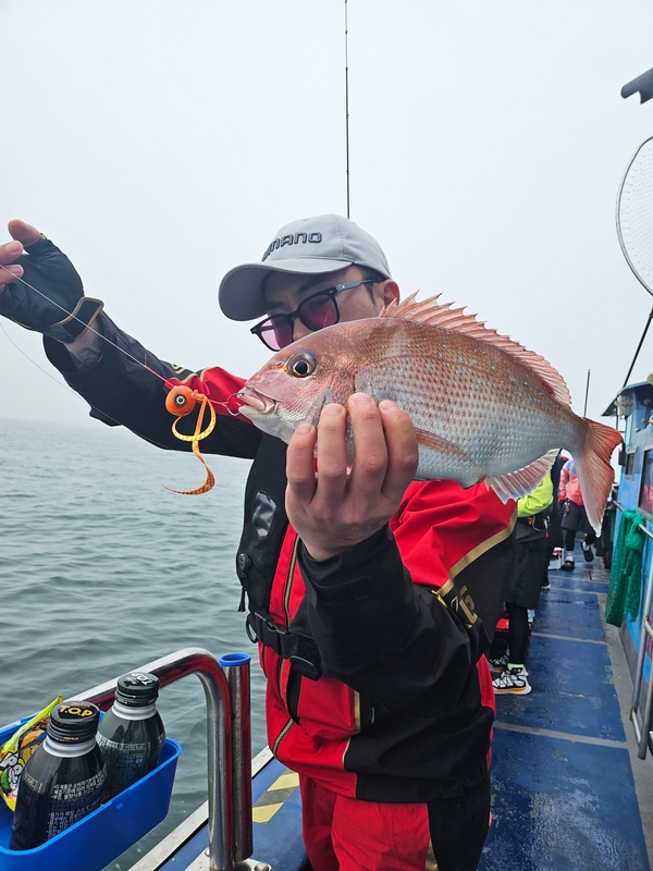 무창포 페가수스호의 조황일지 이미지 - 5