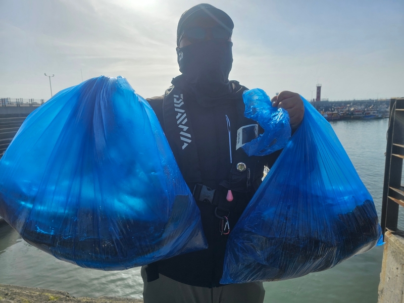 무창포 페가수스호의 조황일지 이미지 - 2