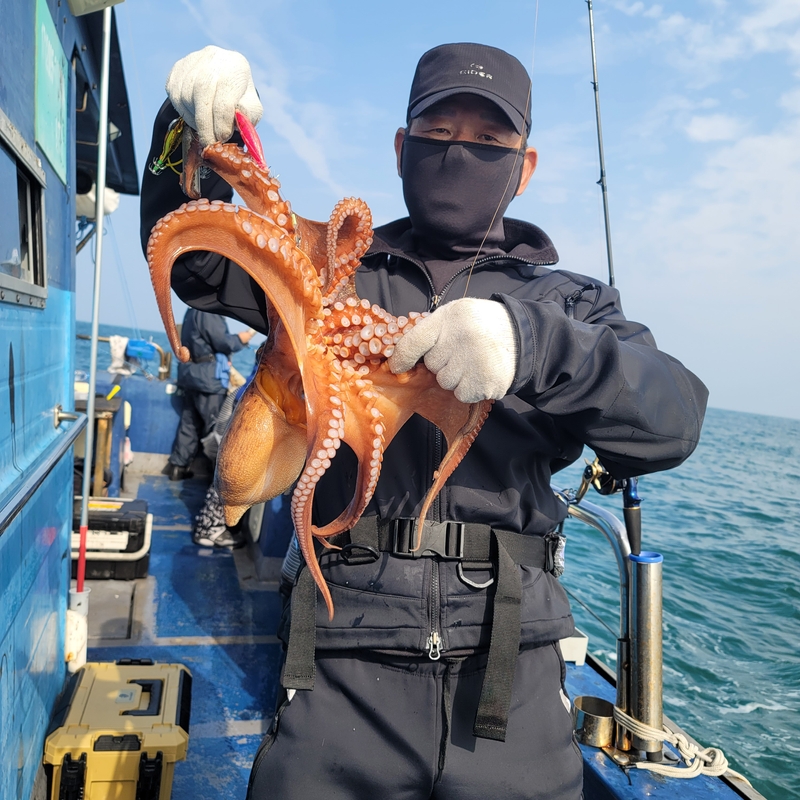 무창포 페가수스호의 조황일지 이미지 - 12