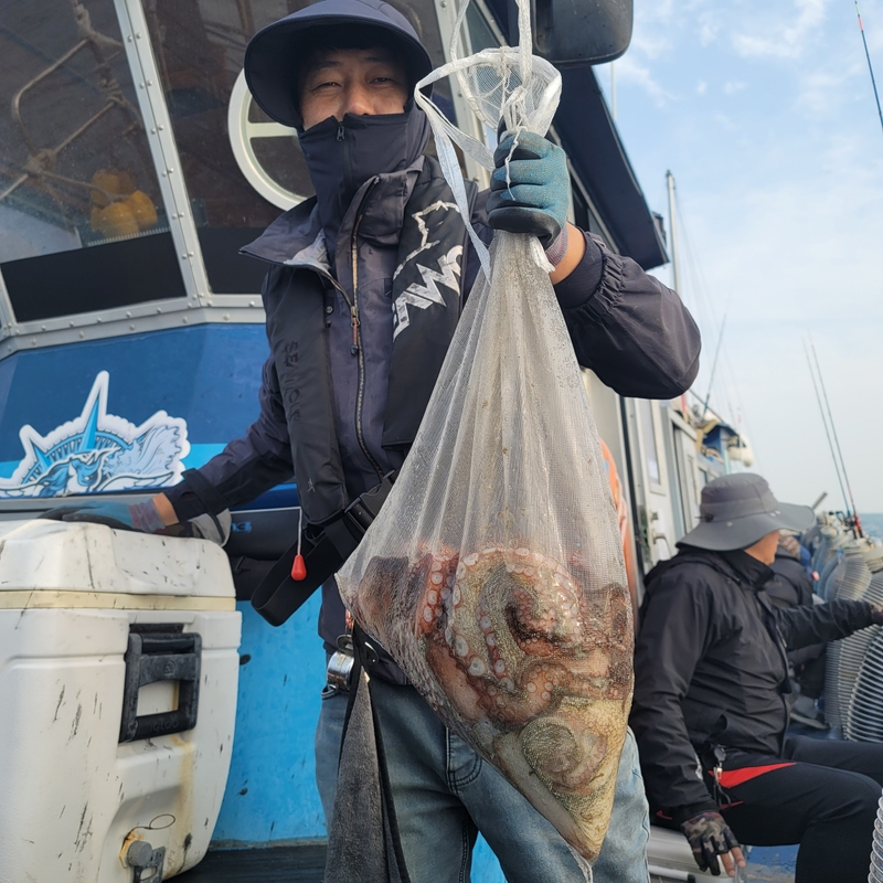 무창포 페가수스호의 조황일지 이미지 - 6