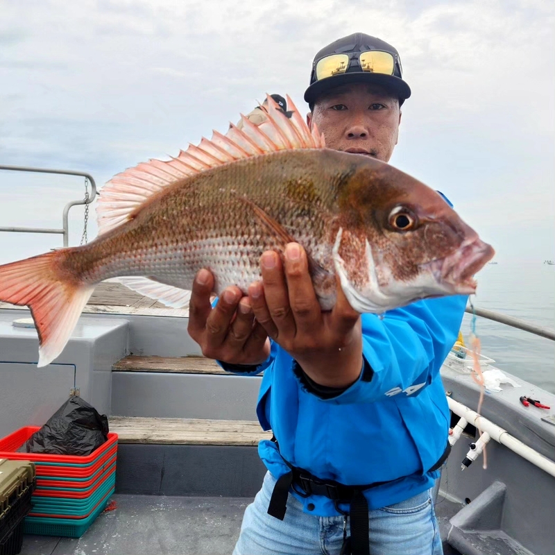 무창포 페가수스호의 조황일지 이미지 - 4