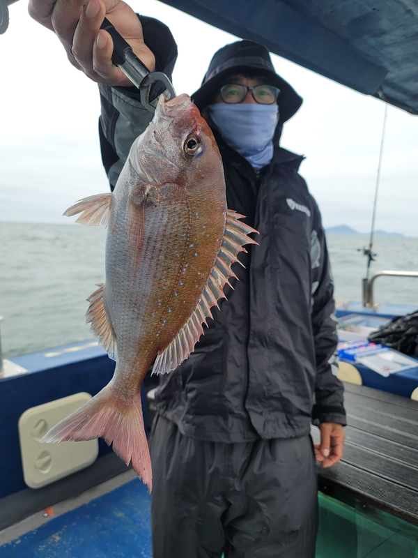 무창포 페가수스호의 조황일지 이미지 - 3