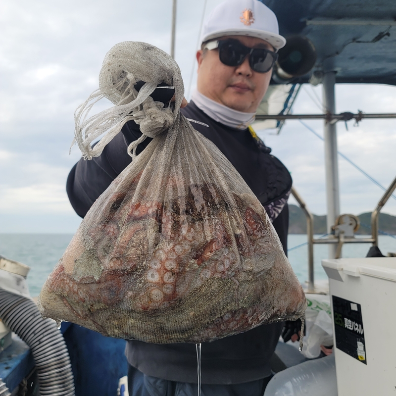 무창포 페가수스호의 조황일지 이미지 - 19