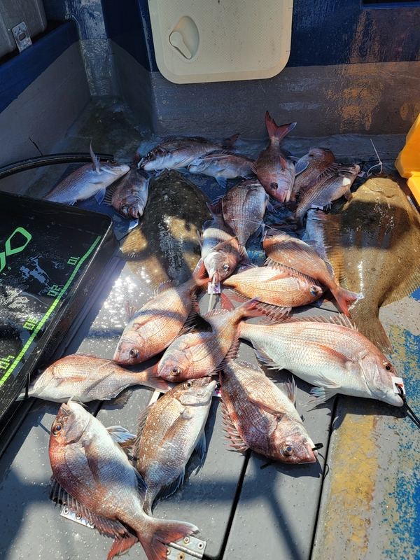 무창포 페가수스호의 조황일지 이미지 - 0