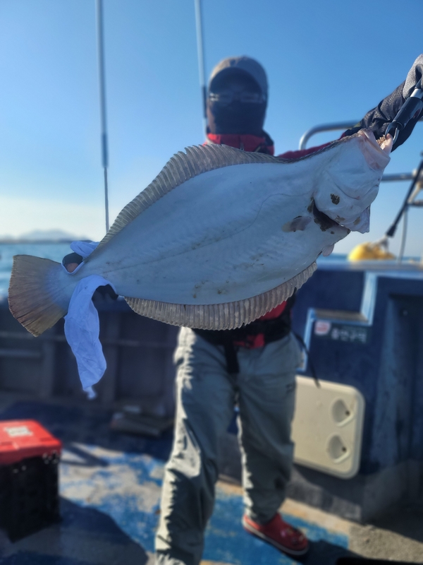 무창포 페가수스호의 조황일지 이미지 - 6