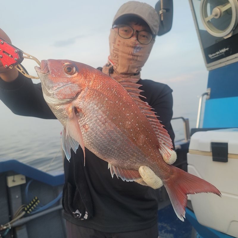 무창포 페가수스호의 조황일지 이미지 - 1