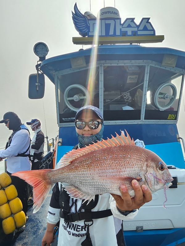 무창포 페가수스호의 조황일지 이미지 - 4